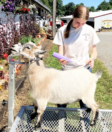Columbiana County 2025 4-H queen still making impact on this year's fair